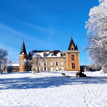 Chateau De La Forie Saint-Etienne-sur-Usson Esterno foto