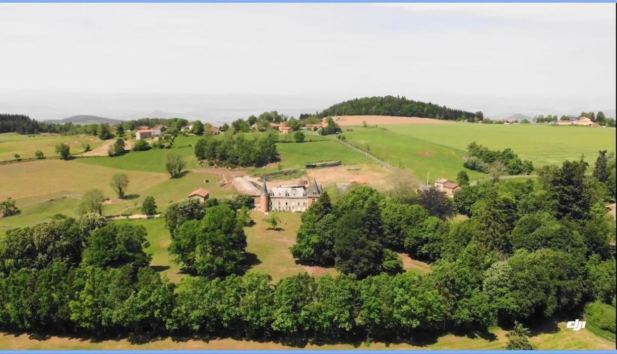 Chateau De La Forie Saint-Etienne-sur-Usson Esterno foto