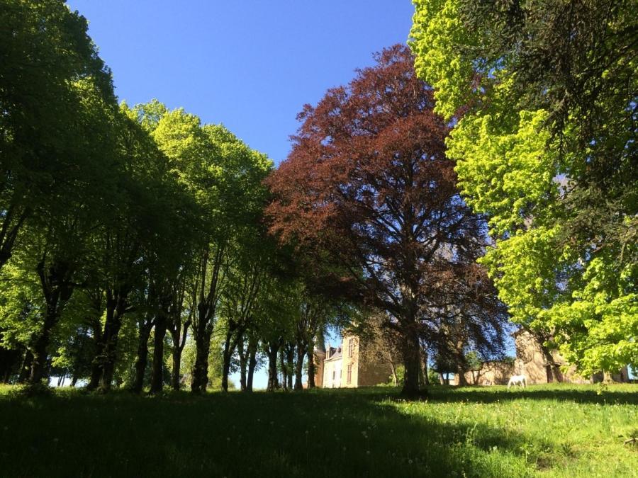 Chateau De La Forie Saint-Etienne-sur-Usson Esterno foto