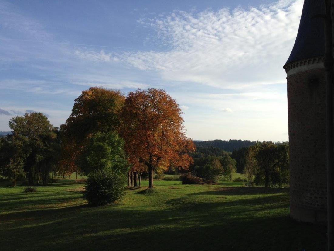 Chateau De La Forie Saint-Etienne-sur-Usson Esterno foto