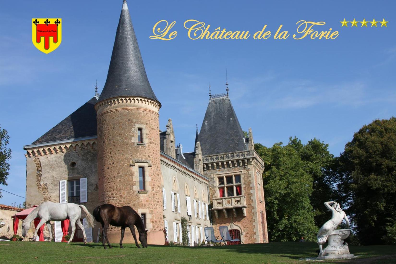 Chateau De La Forie Saint-Etienne-sur-Usson Esterno foto