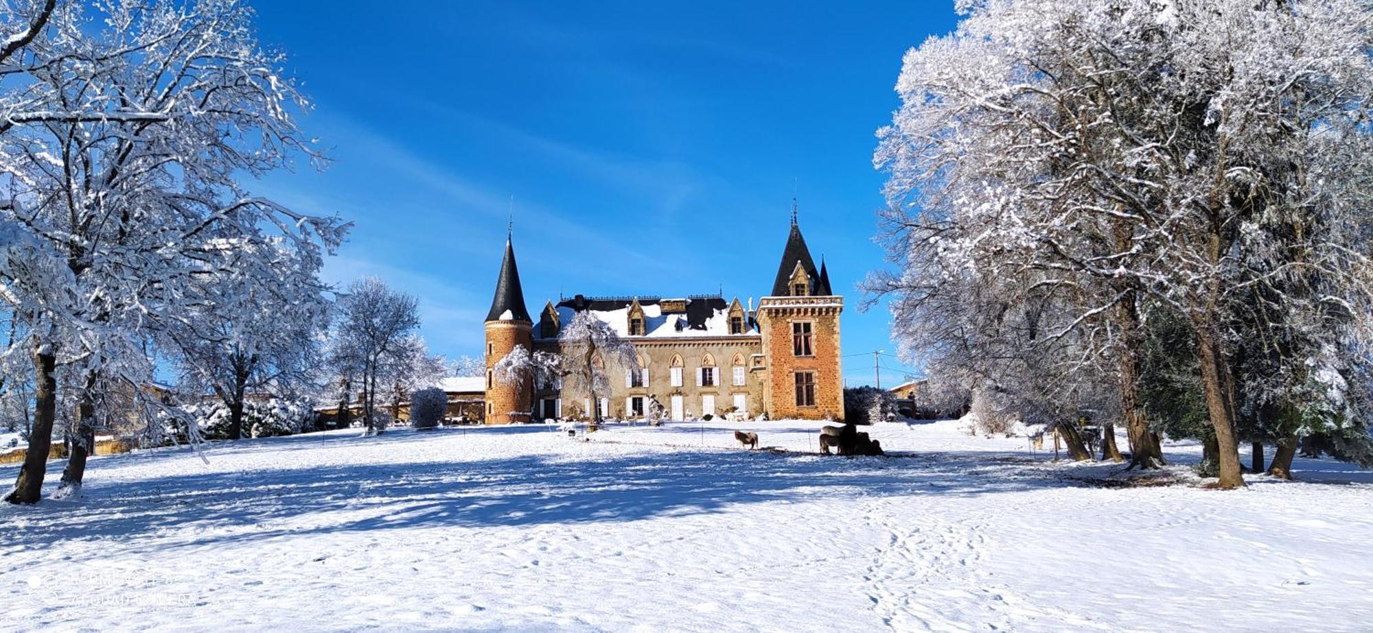 Chateau De La Forie Saint-Etienne-sur-Usson Esterno foto